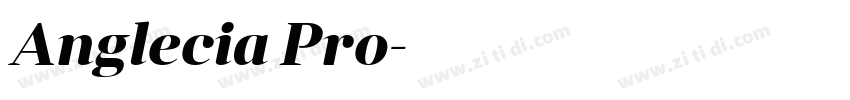 Anglecia Pro字体转换